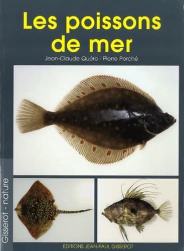 Les poissons de mer : Myxines lamproies cartilagineux et poissons - Jean-Claude Quéro