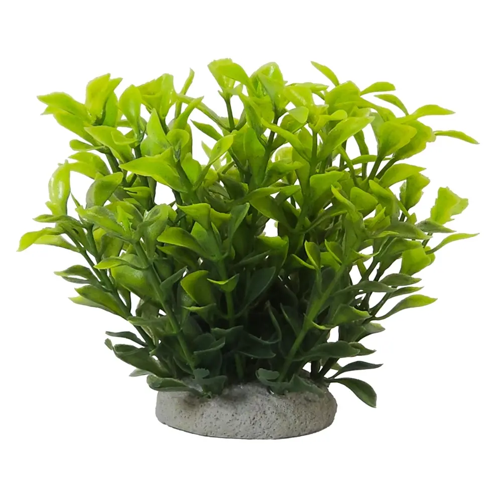 Décoration pour aquarium Nobby Pet Ludwigia Green