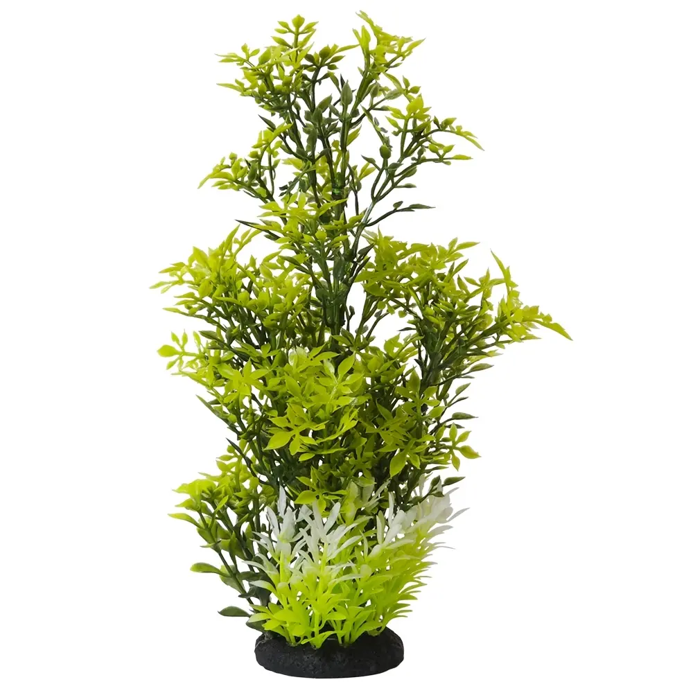 Décoration pour aquarium Nobby Pet Rotala