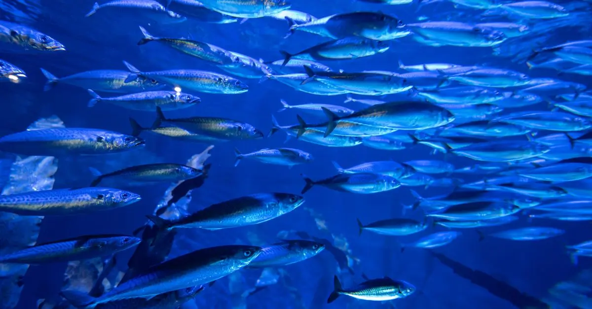 Les Poissons les Plus Étranges du Monde : Une Découverte Fascinante