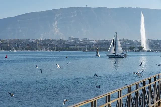 Les Poissons d'Eau Douce les Plus Étonnants à Découvrir