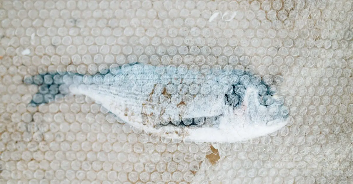 Les principales menaces pour les poissons en 2026