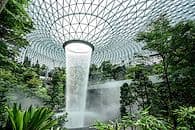 Forêt urbaine et jungle tropicale