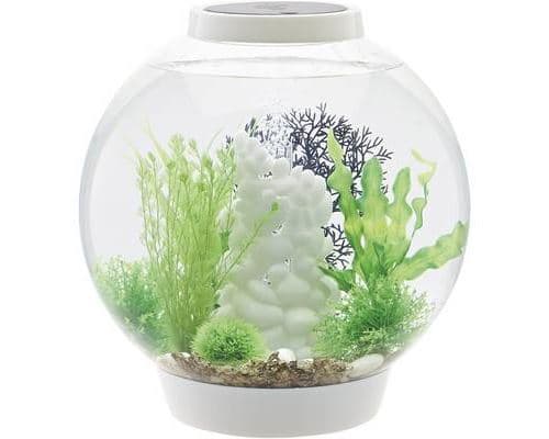 Aquarium 30 l Oase 72007 avec éclairage LED