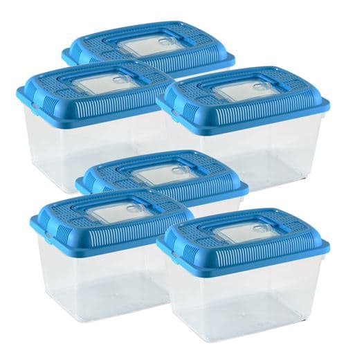 Lot 6 aquarium pour poissons,conteneur pour petits animaux,boîte rectangulaire de transport,terrarium en plastique transparent avec couvercle bleu-Longueur 18 xProfondeur 12 xHauteur 13.4 cm- JUANIO -